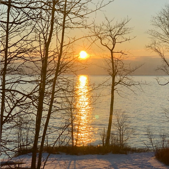 Meet your Posher, Posh - Picture 2 of 2